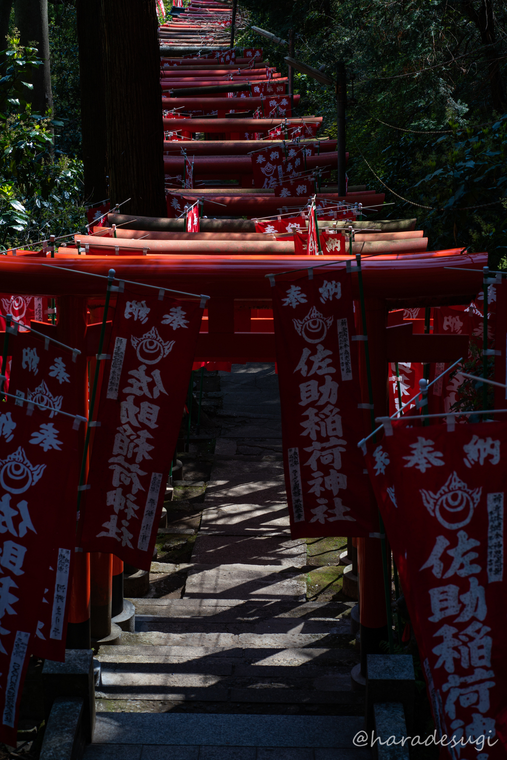 佐助稲荷神社