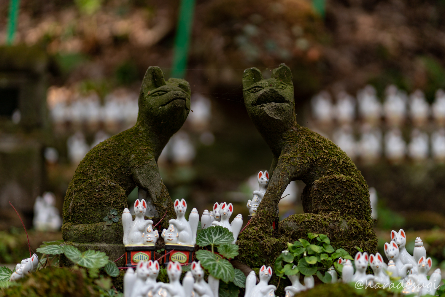 佐助稲荷神社