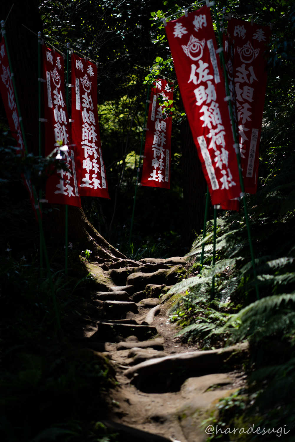 佐助稲荷神社