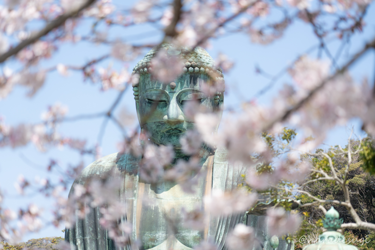 高徳院の大仏