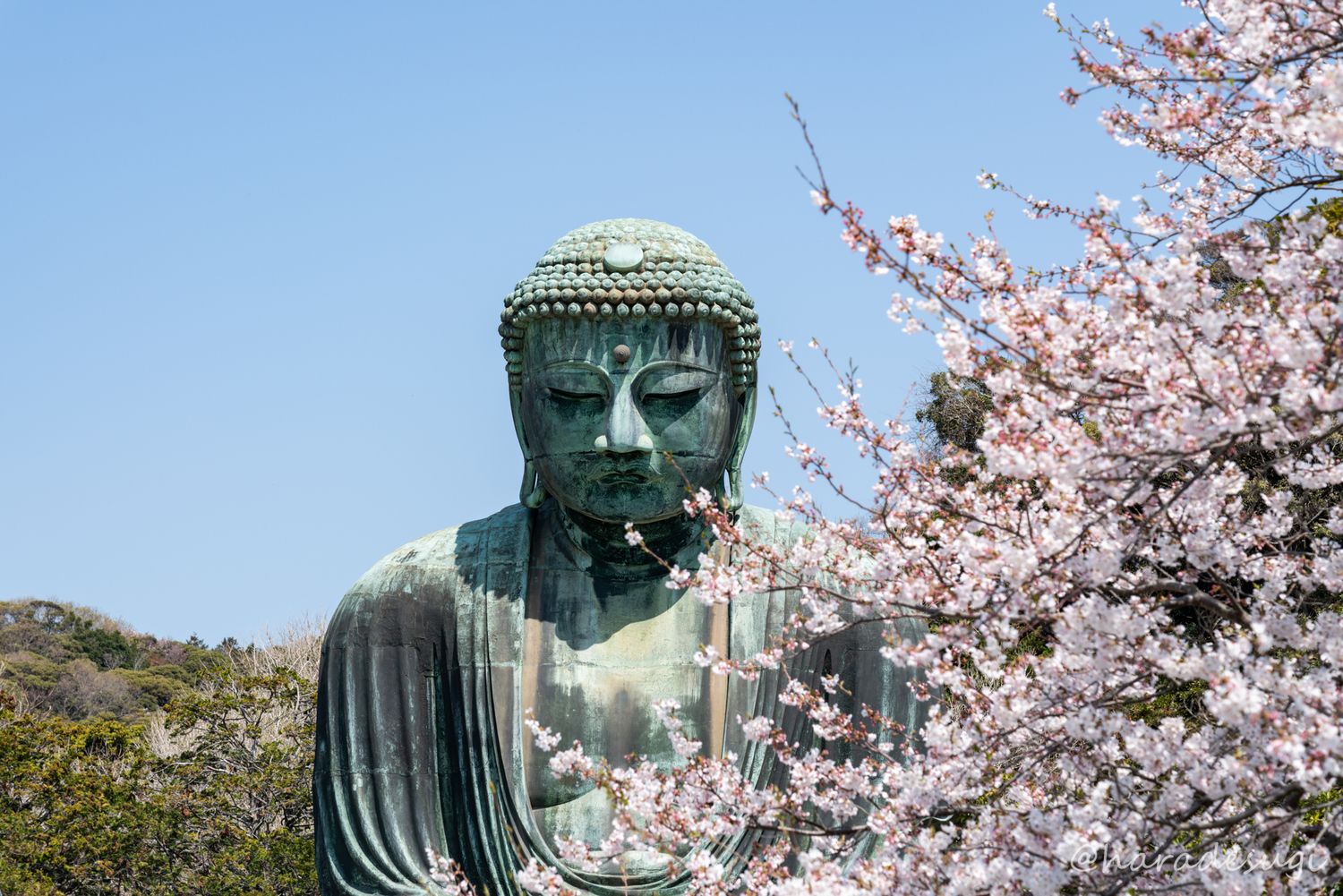 高徳院の大仏