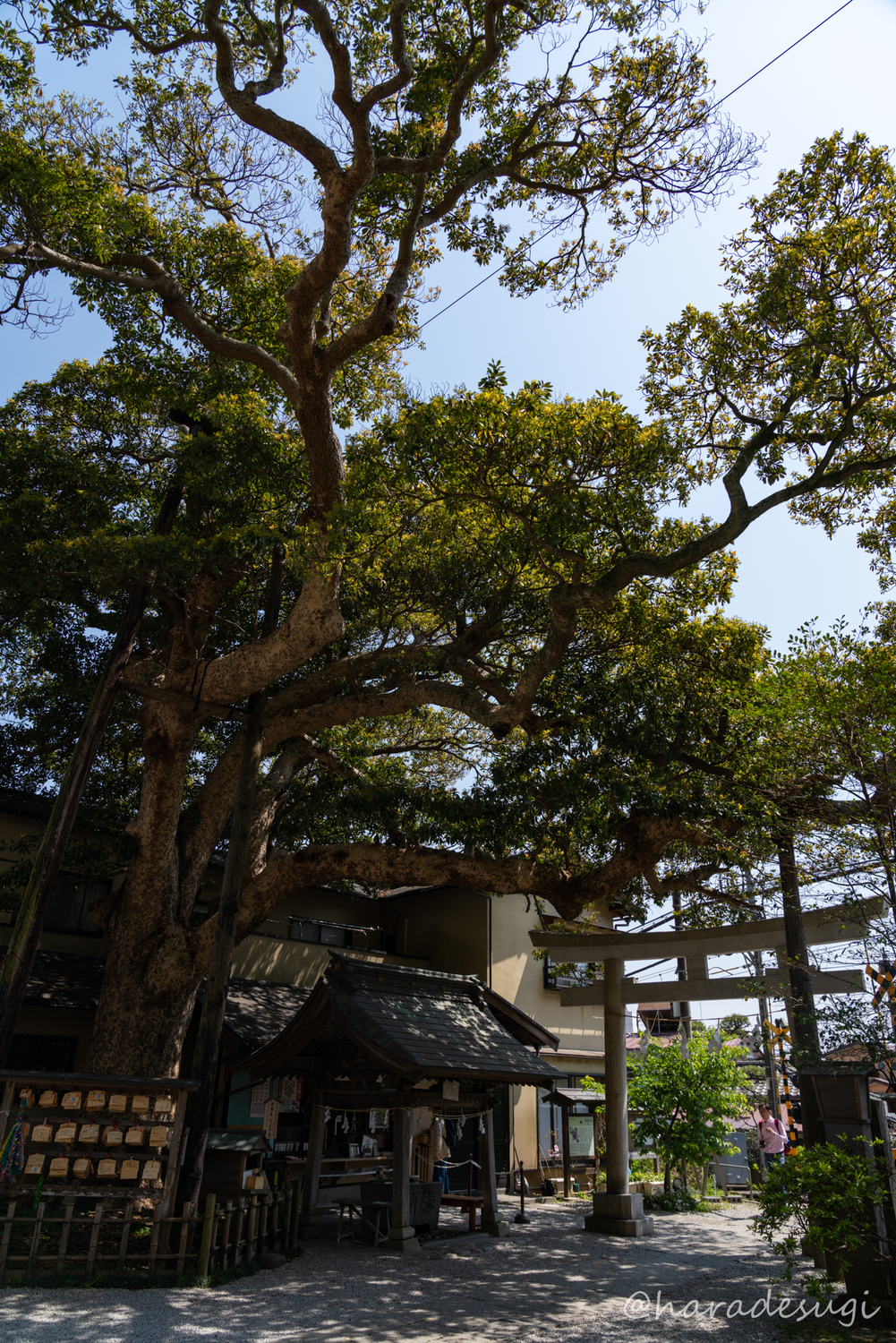 御霊神社