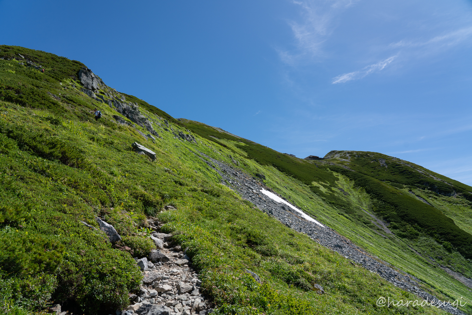 f:id:haradesugi:20190813072128j:plain