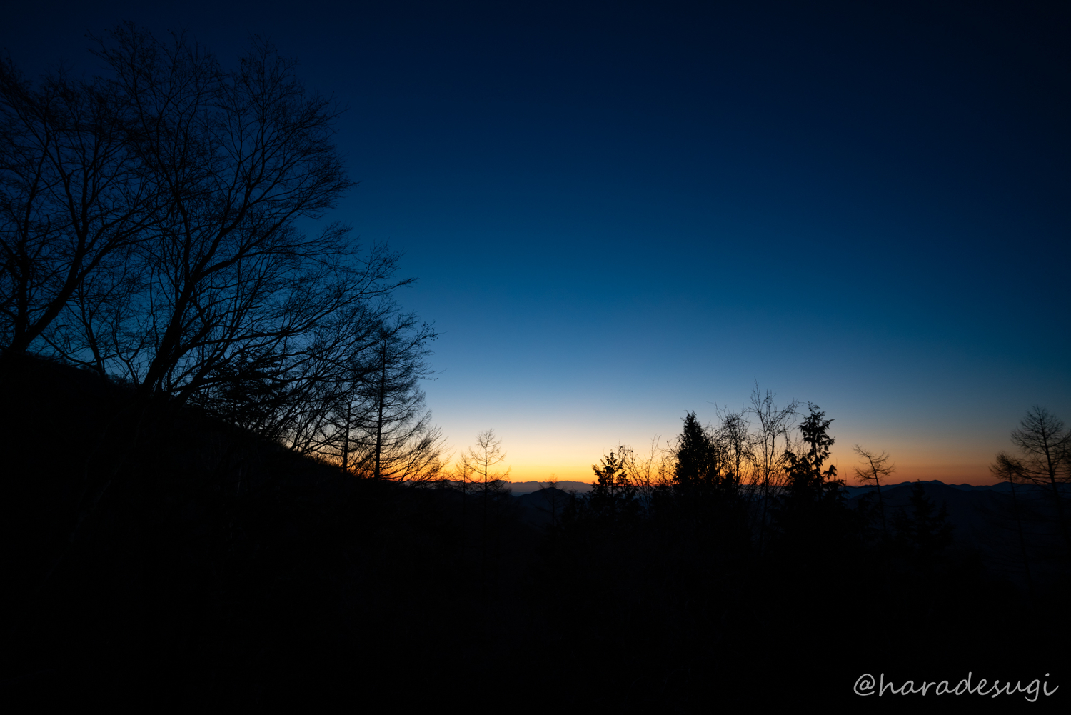 f:id:haradesugi:20200103225946j:plain