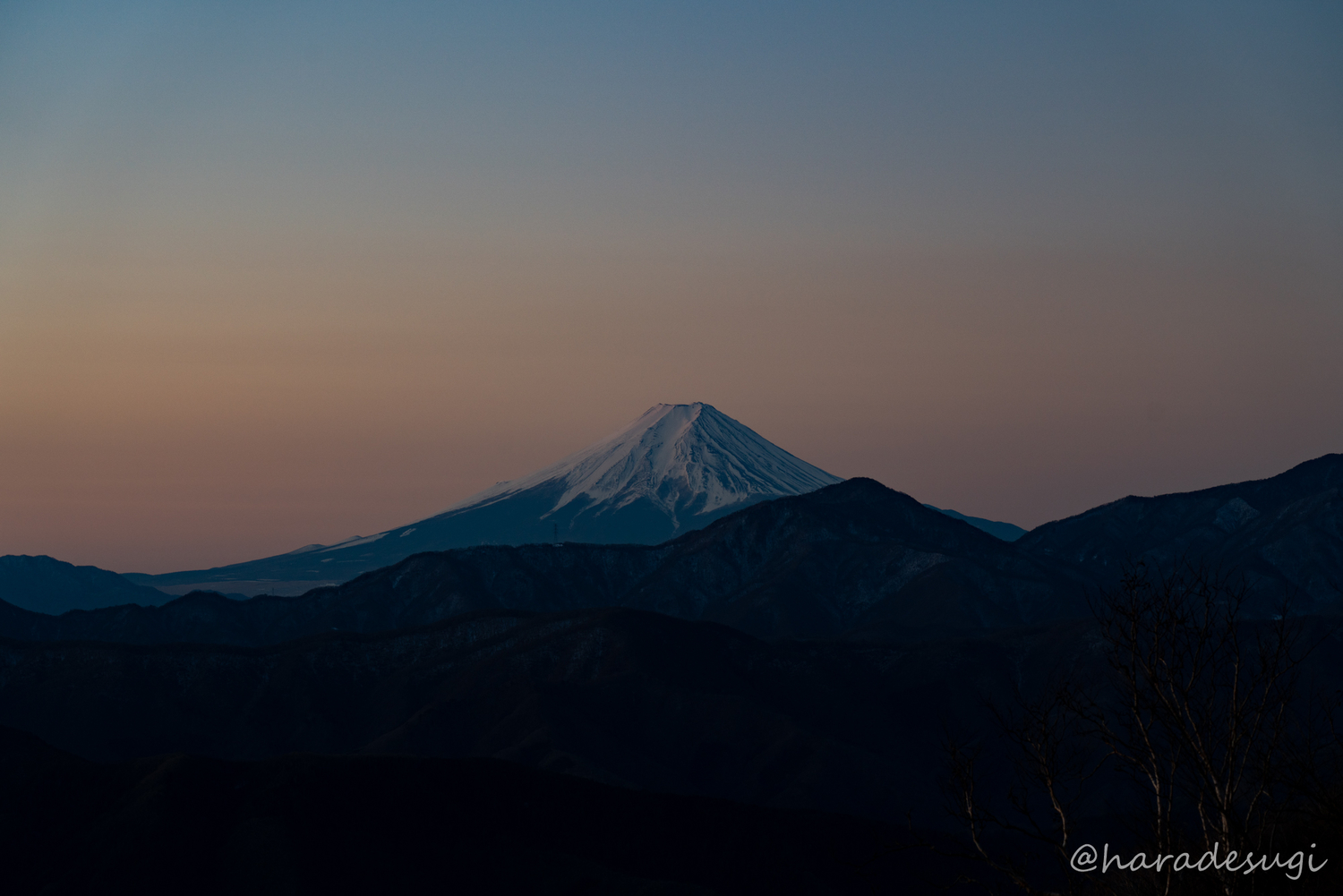 f:id:haradesugi:20200103230331j:plain