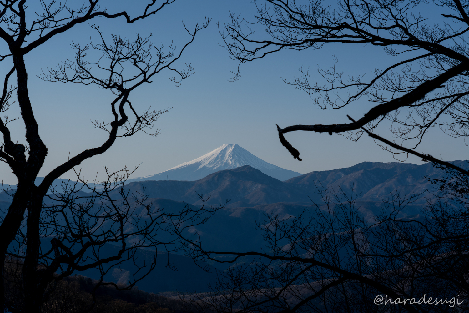 f:id:haradesugi:20200103230446j:plain