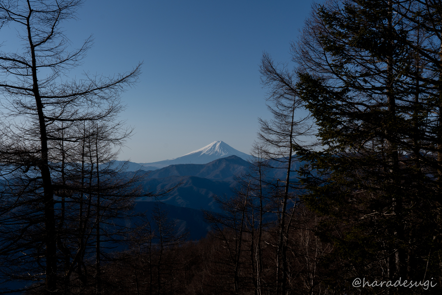 f:id:haradesugi:20200103230537j:plain