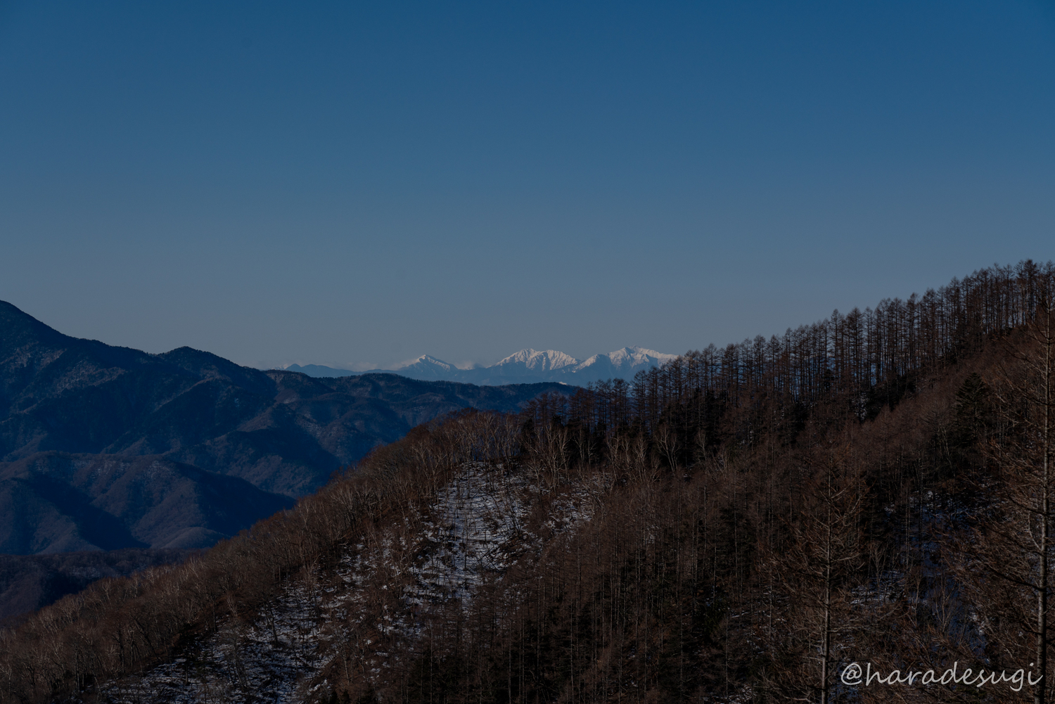 f:id:haradesugi:20200103230631j:plain