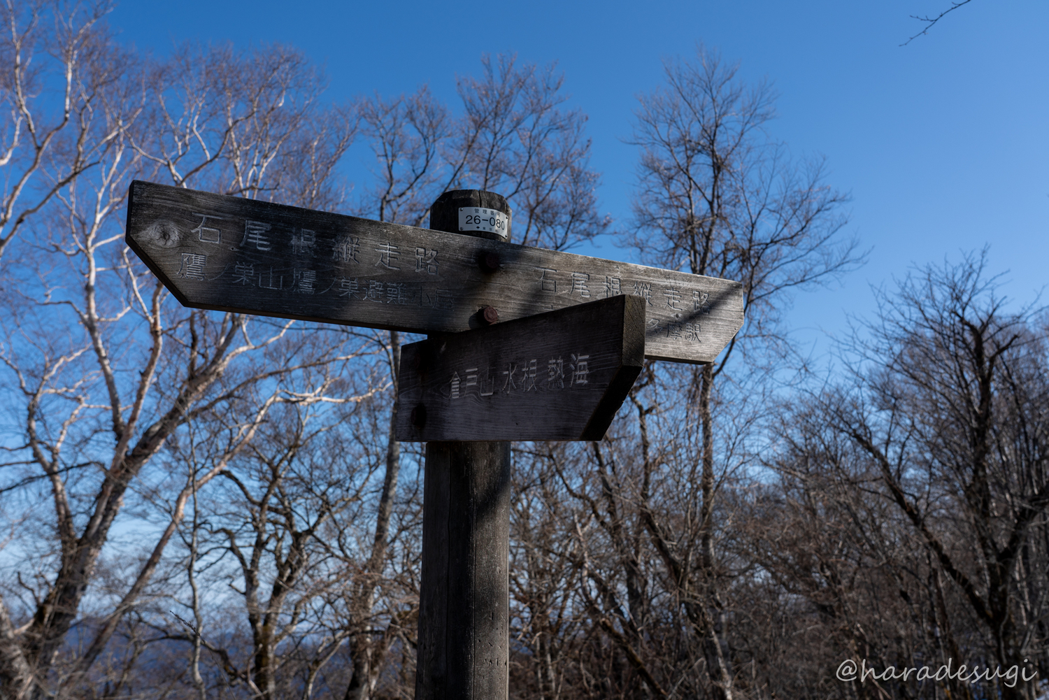 f:id:haradesugi:20200103230855j:plain