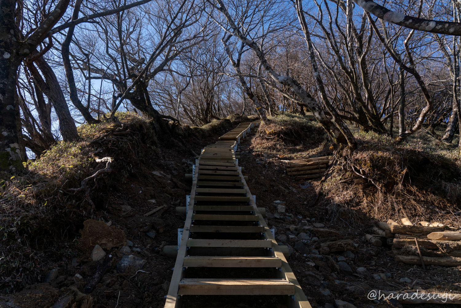 f:id:haradesugi:20200225192022j:plain