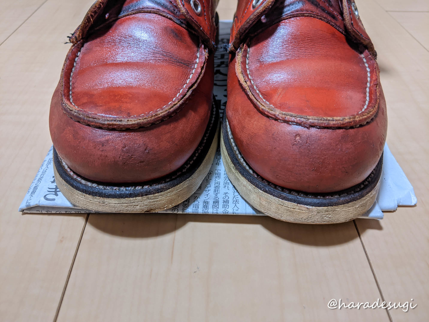 f:id:haradesugi:20201018085938j:plain f:id:haradesugi:20201018085938j:plain