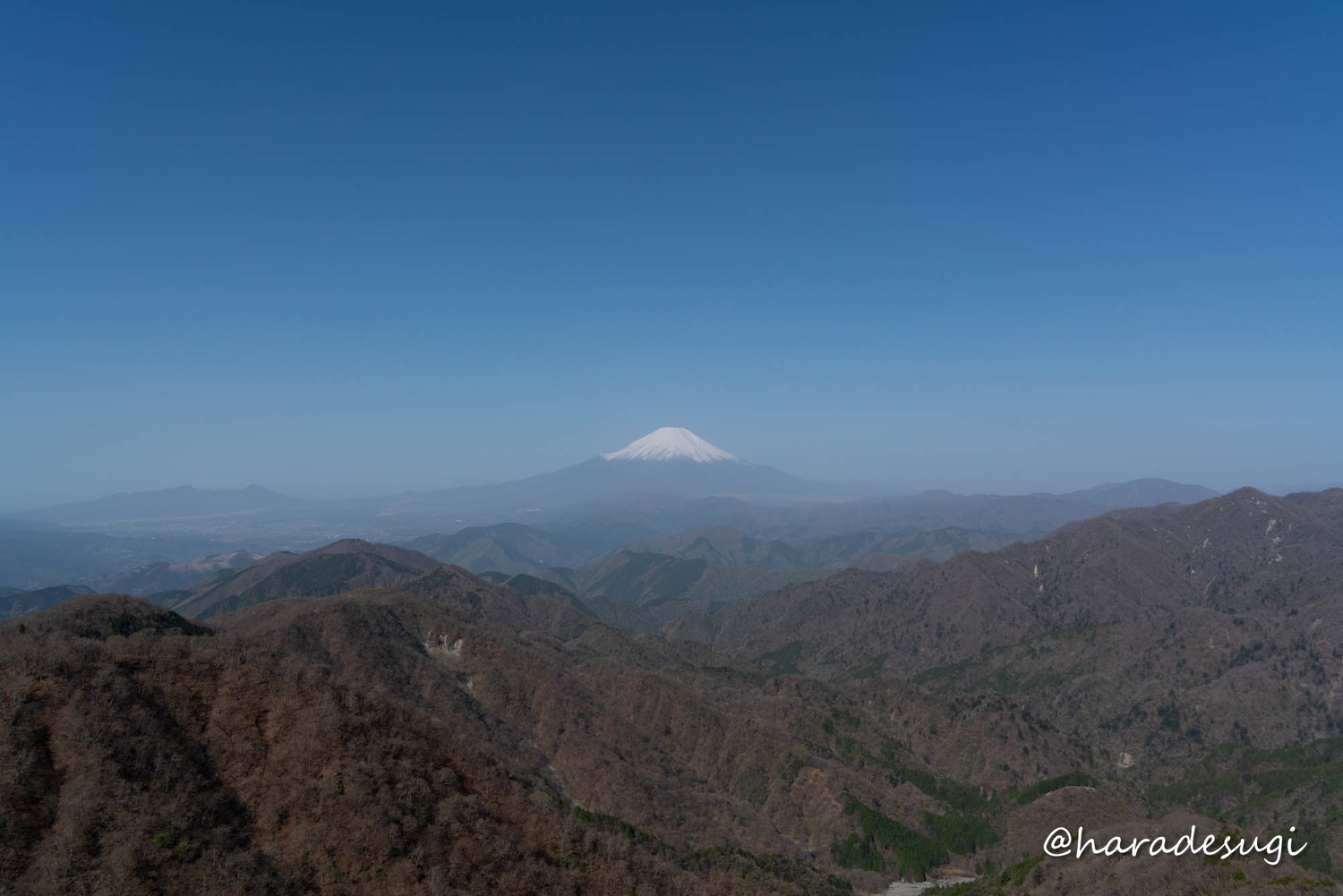f:id:haradesugi:20210420040130j:plain