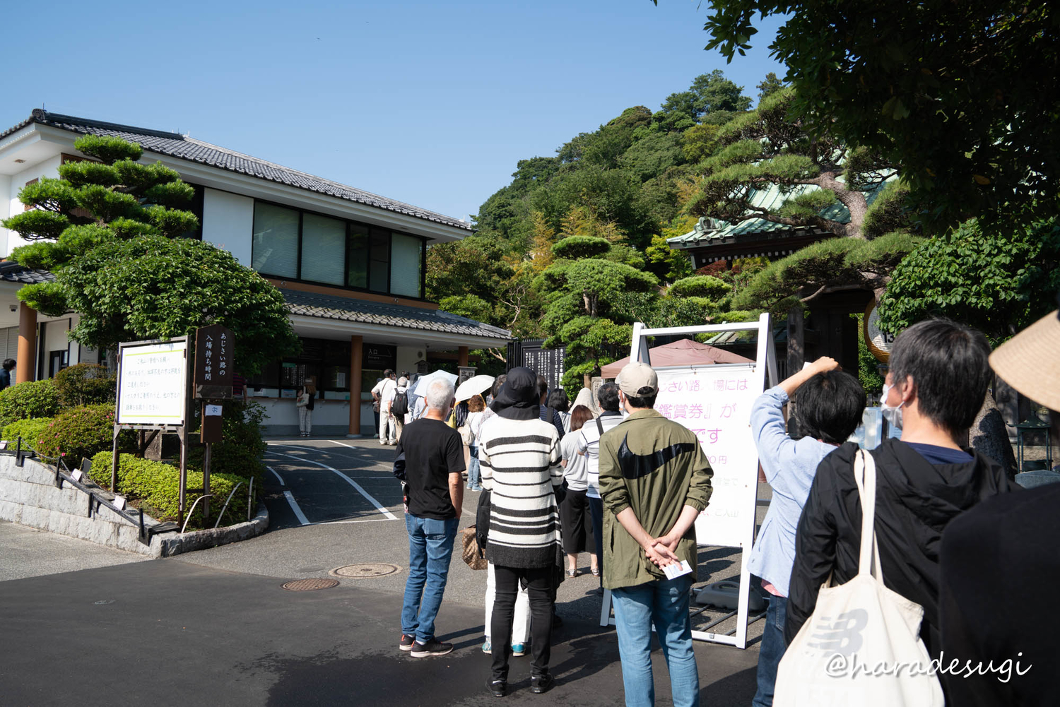 f:id:haradesugi:20210609223734j:plain