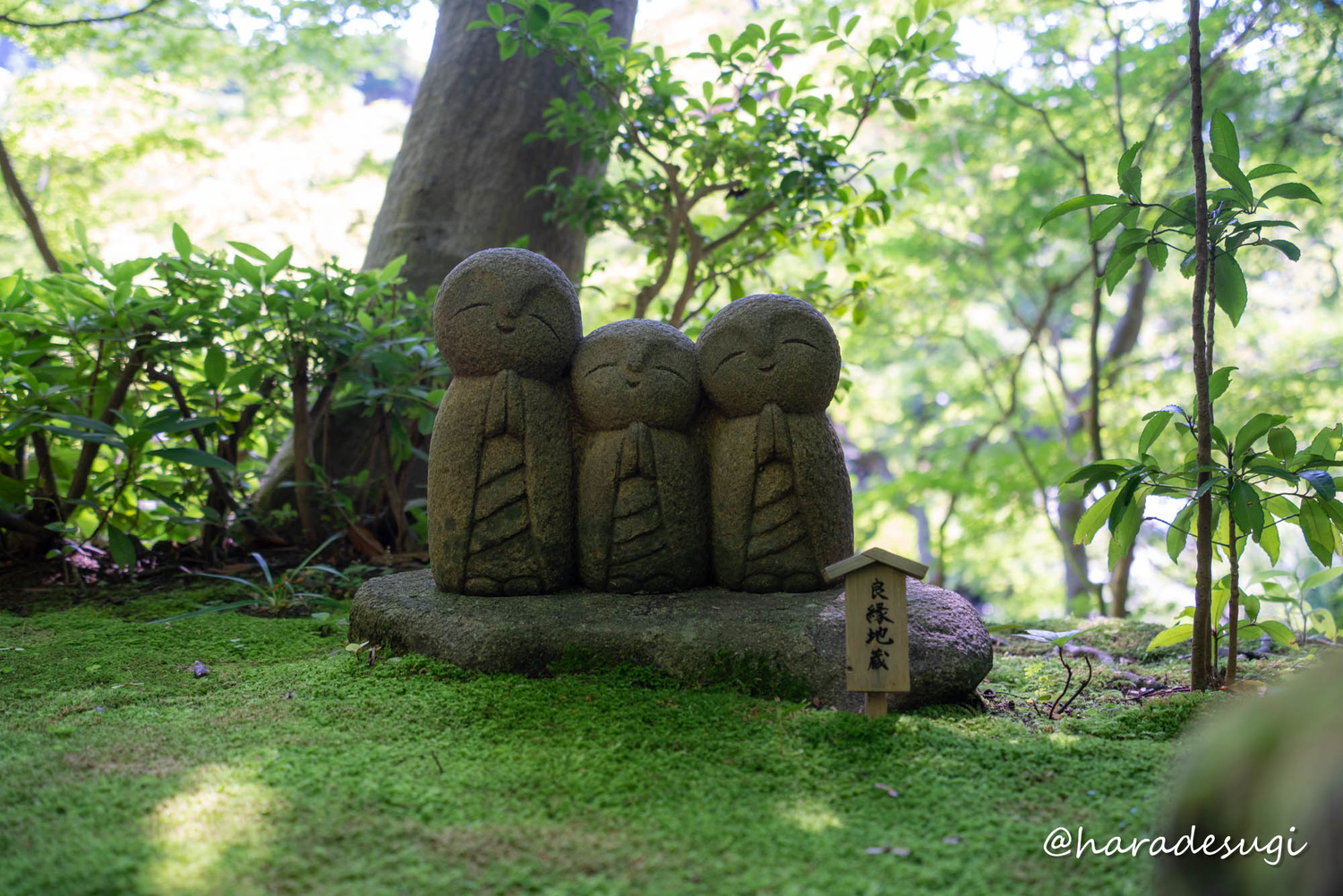 f:id:haradesugi:20210609223741j:plain