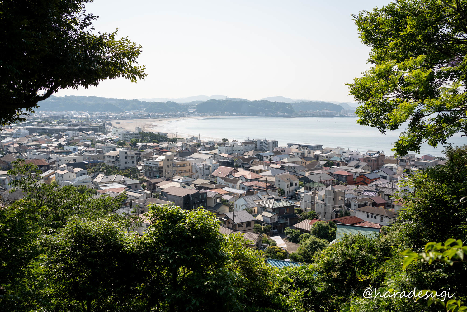 f:id:haradesugi:20210609223820j:plain