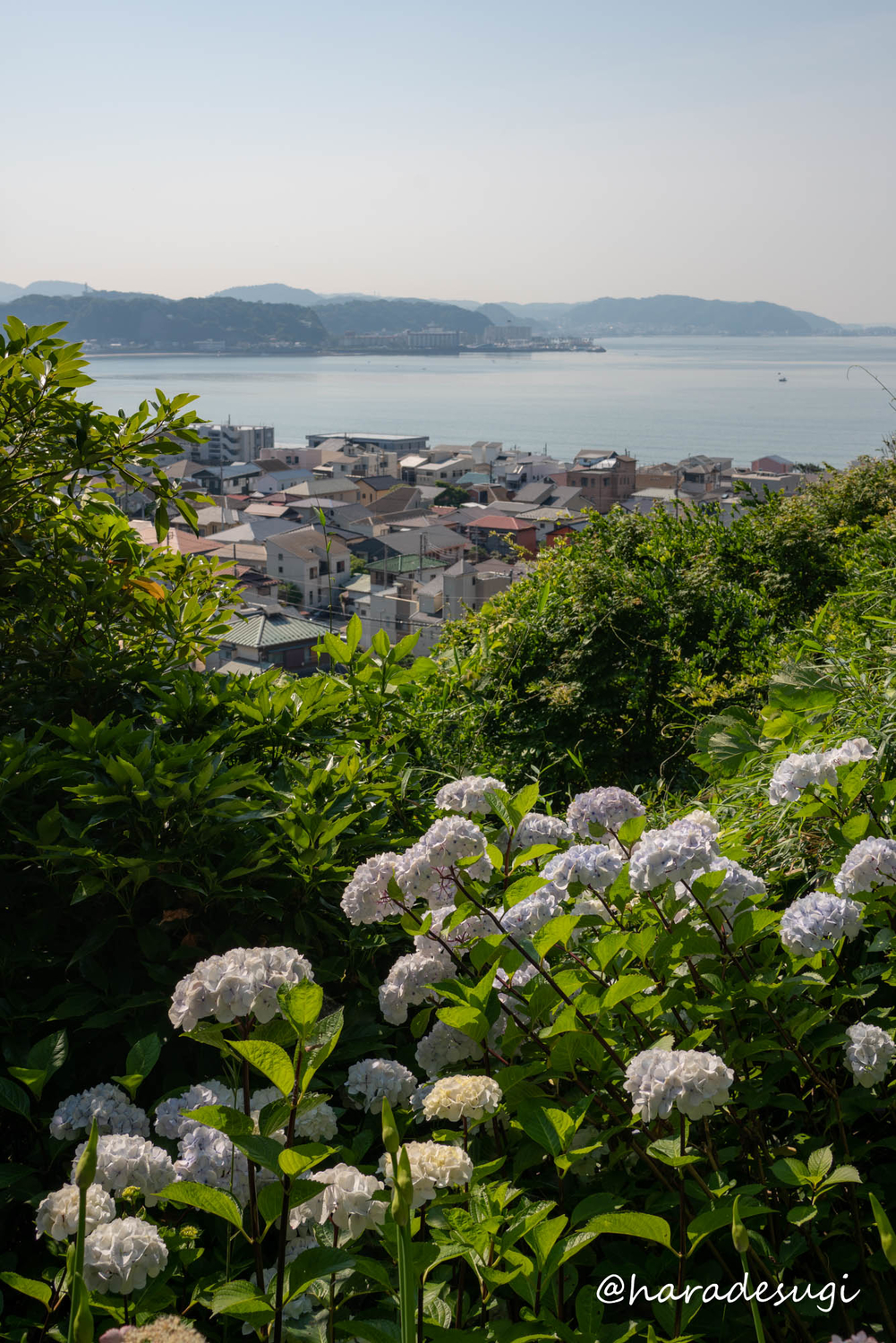 f:id:haradesugi:20210609224021j:plain