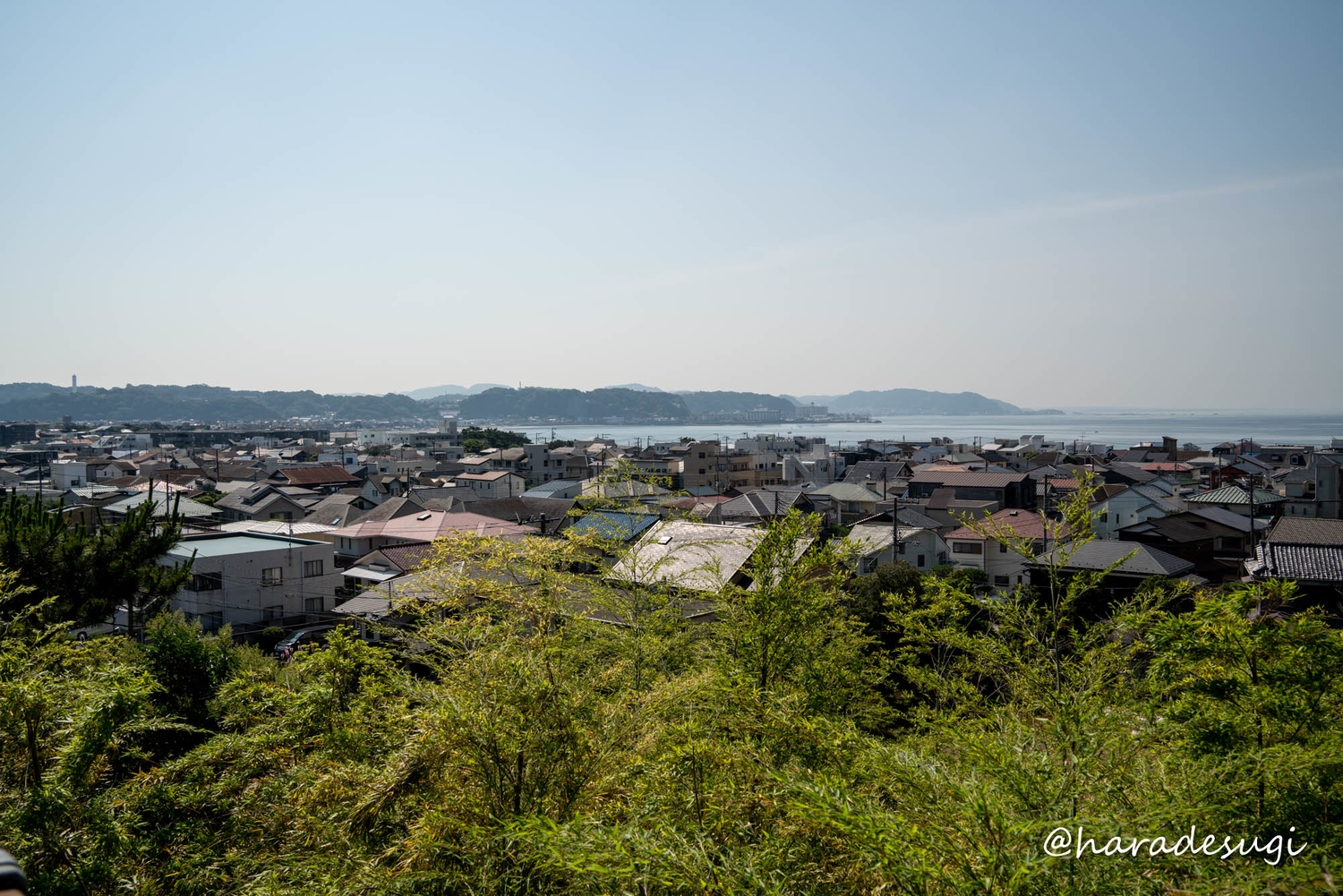 f:id:haradesugi:20210609224054j:plain