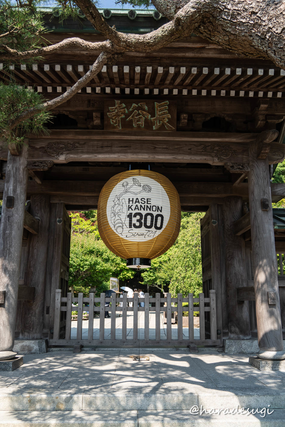 f:id:haradesugi:20210609224110j:plain