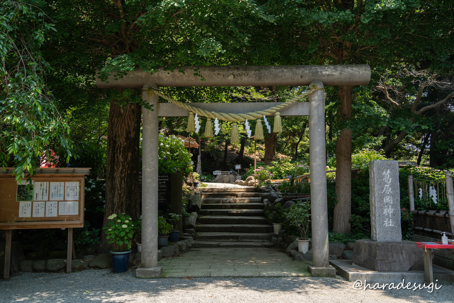 f:id:haradesugi:20210609224148j:plain