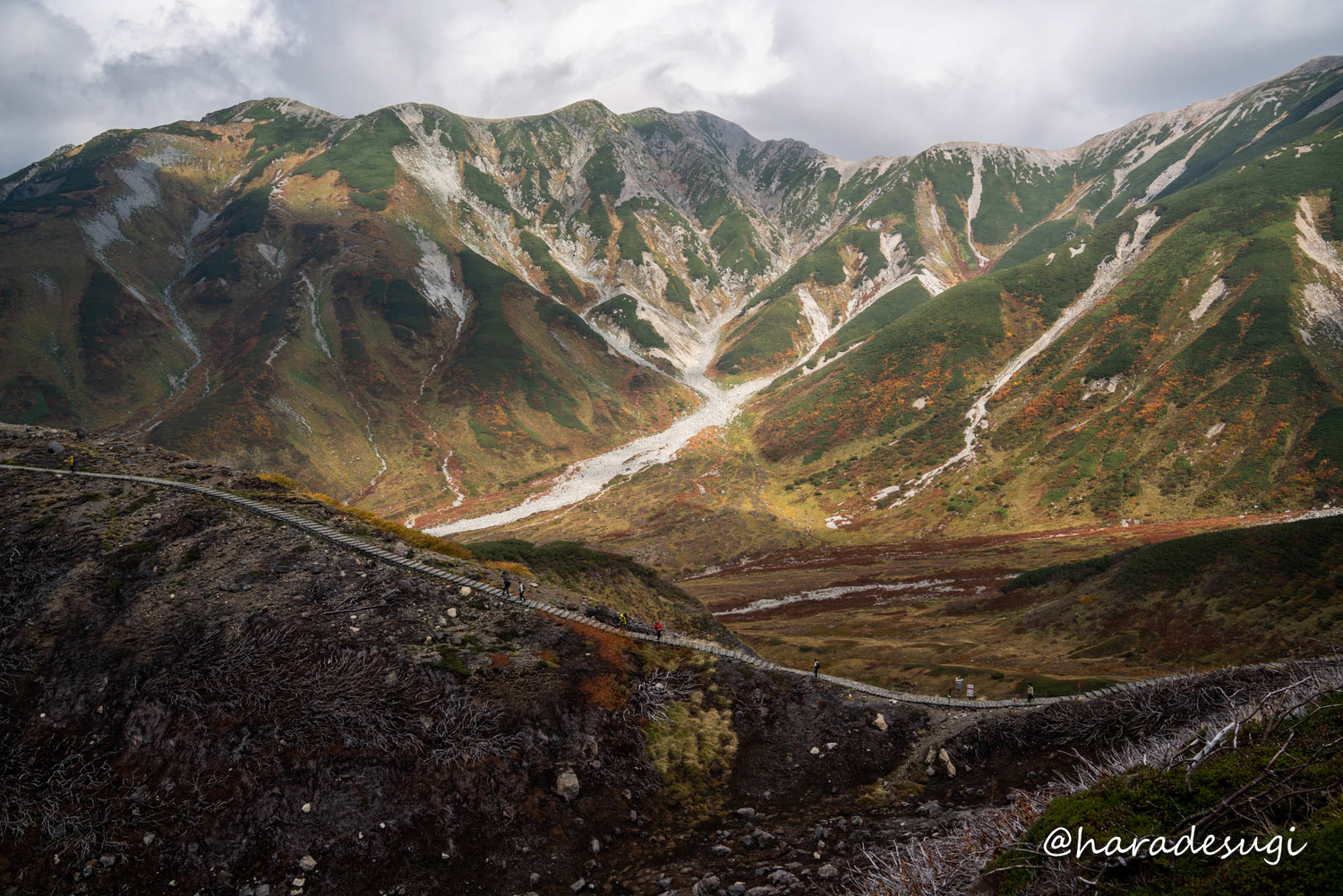 f:id:haradesugi:20211003105655j:plain