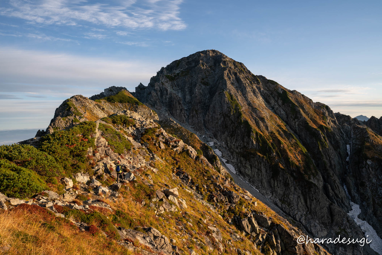 f:id:haradesugi:20211003105828j:plain