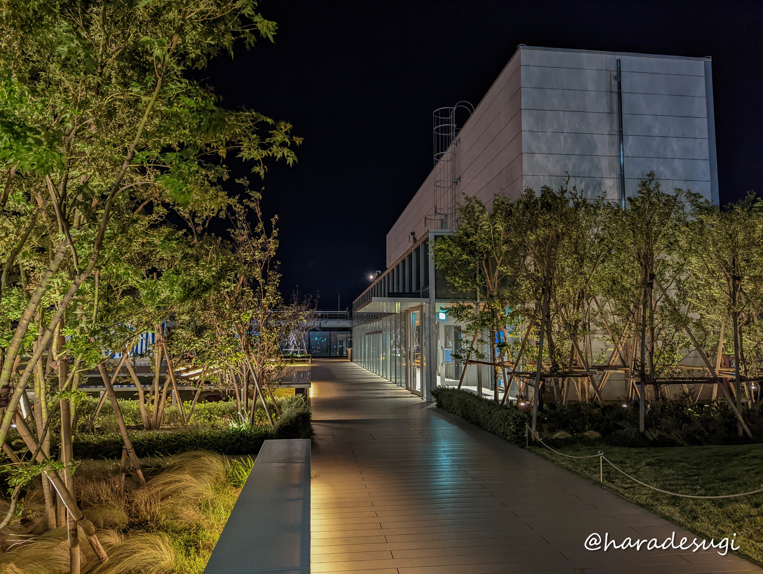 f:id:haradesugi:20211028231742j:plain