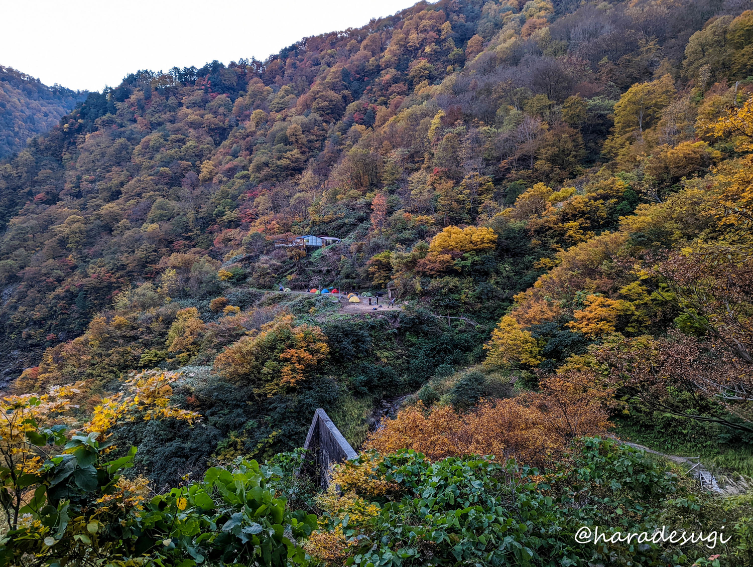 f:id:haradesugi:20211103222051j:plain