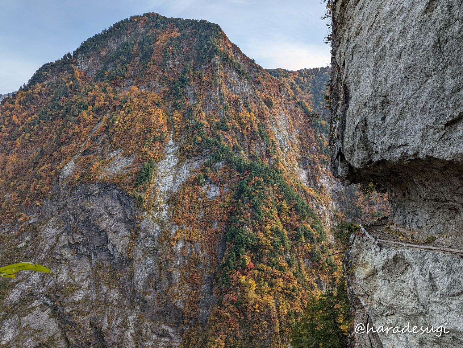 f:id:haradesugi:20211103223438j:plain