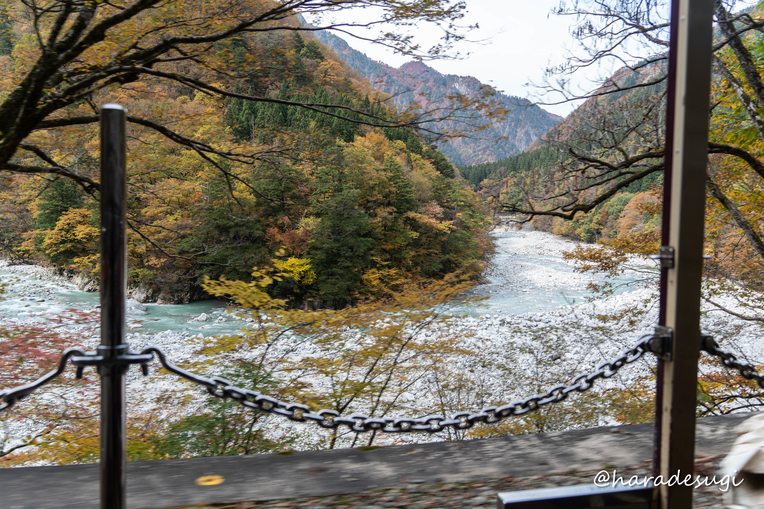 f:id:haradesugi:20211108055732j:plain