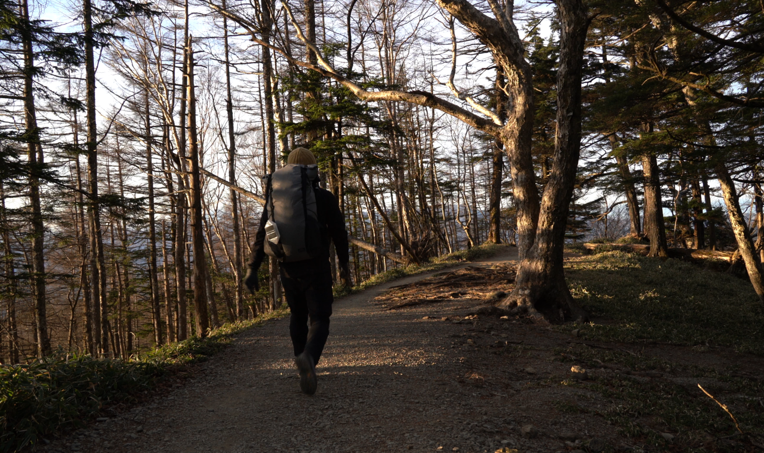 f:id:haradesugi:20211221203209p:plain