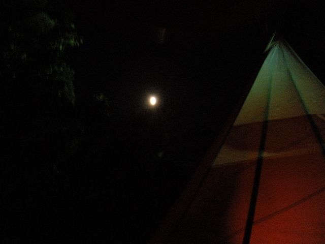 f:id:harahituki:20191120155044j:plain