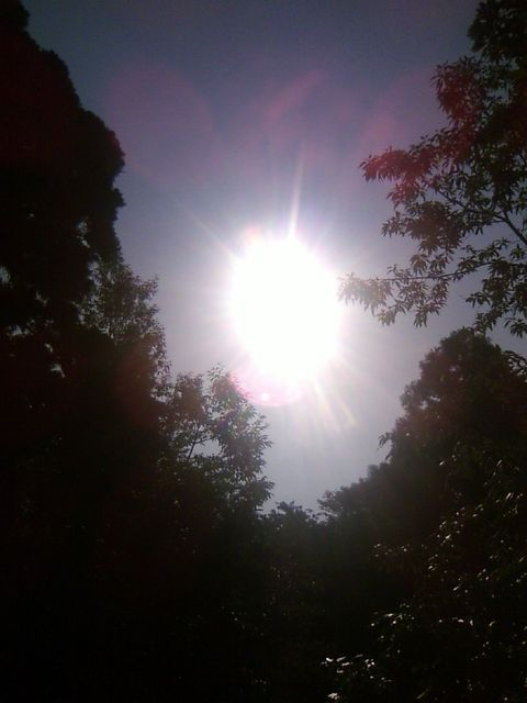 f:id:harahituki:20191120160150p:plain