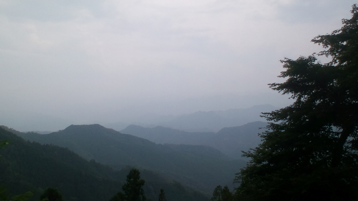 f:id:harahituki:20210110202624j:plain