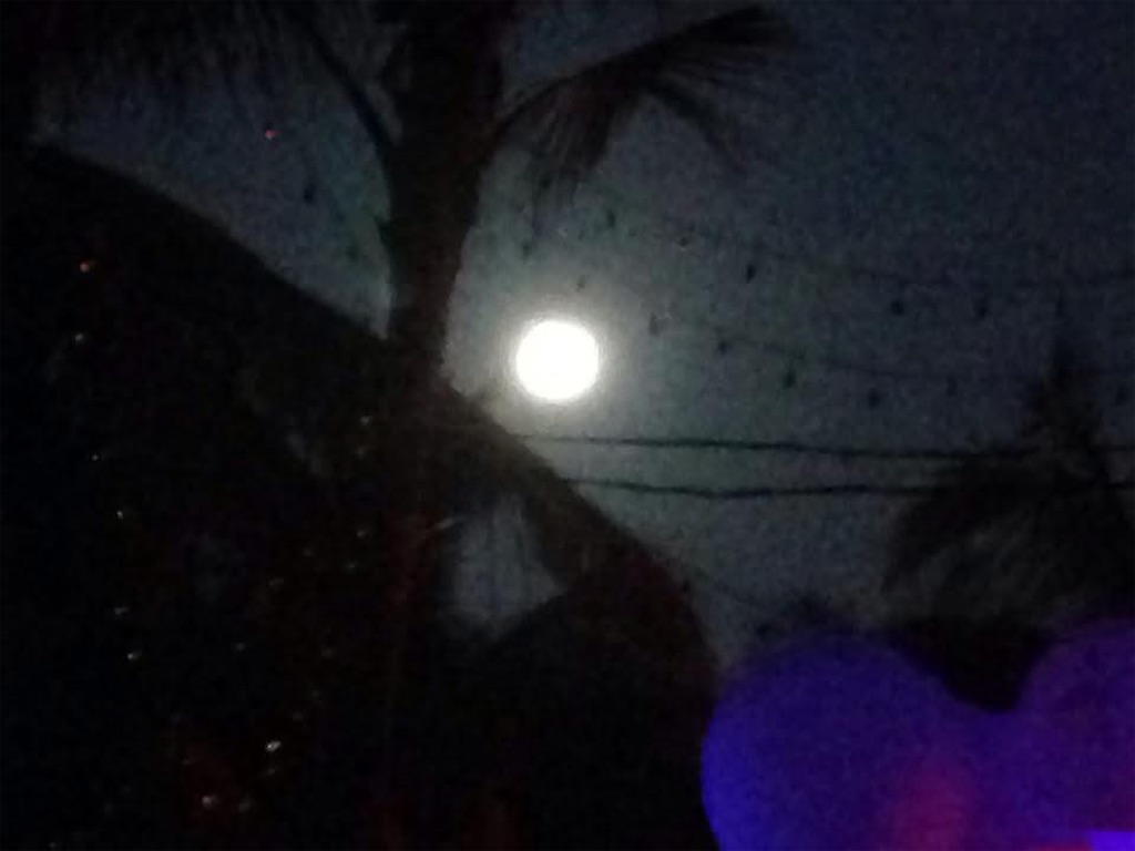 f:id:harahituki:20260126171701j:image