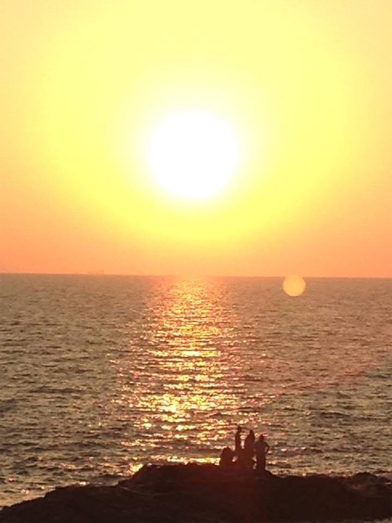 f:id:harahituki:20260127195832j:image