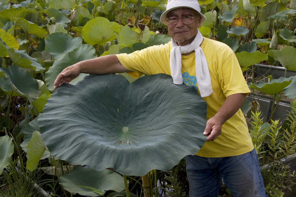 f:id:haraitinuma:20160906095026j:plain