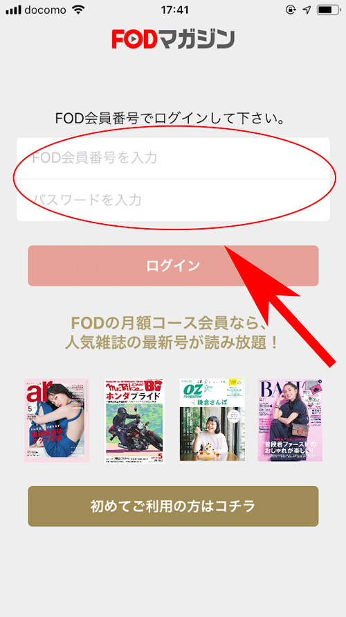 f:id:haranomachi:20190415220647j:plain