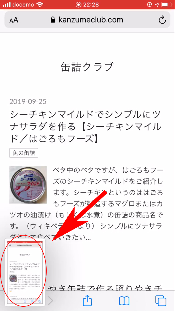 f:id:haranomachi:20190925233232j:plain