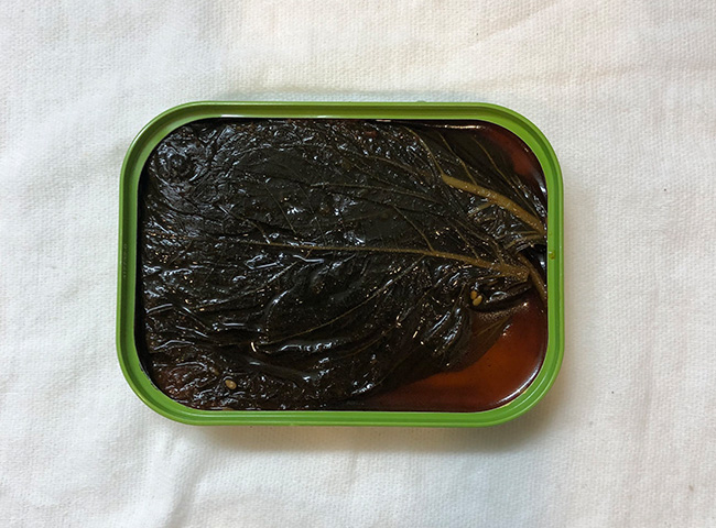 270円 買い取り えごまの葉キムチ缶詰 辛口 70g 270円 買い取り えごまの葉キムチ缶詰 辛口 70g