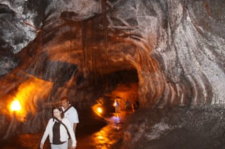 Img_1386 Img_1386
