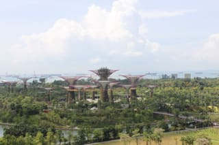 Img_0380 Img_0380