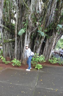 Img_1341 Img_1341