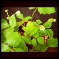 20110517082832
