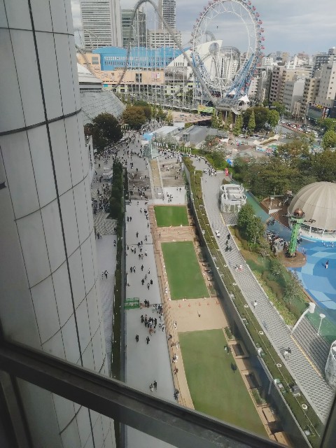 f:id:harapekomomo:20231031140039j:image