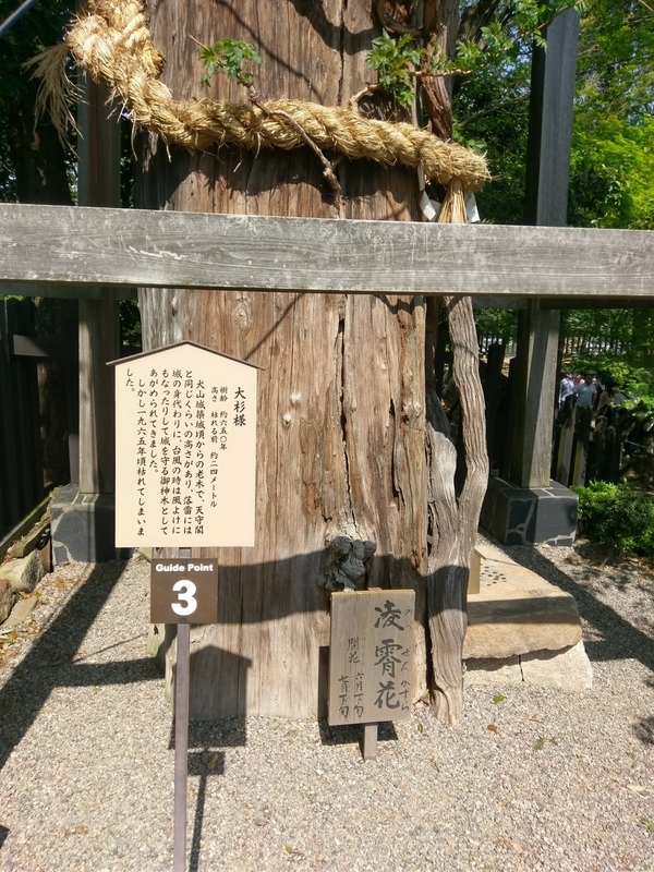 f:id:harapon:20170430141130j:plain
