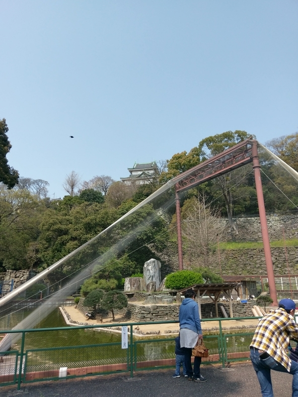 f:id:harapon:20180325111724j:plain