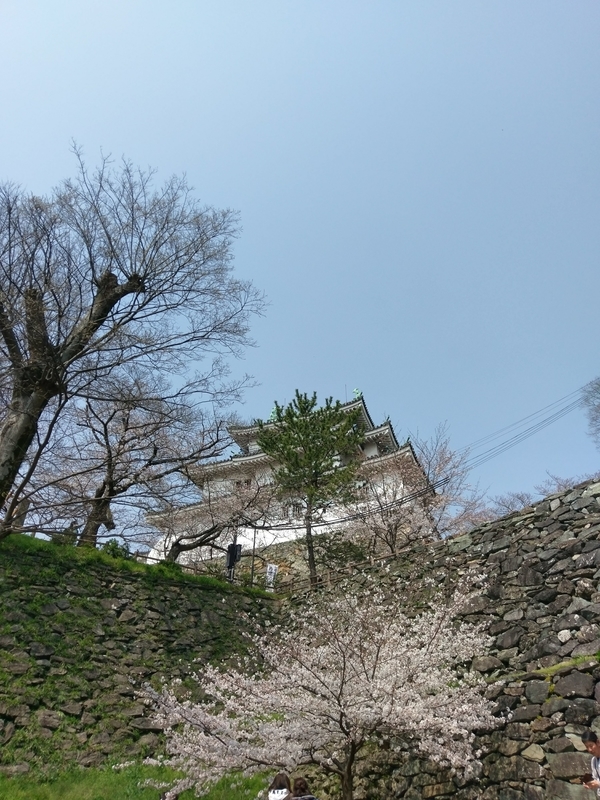 f:id:harapon:20180325112957j:plain