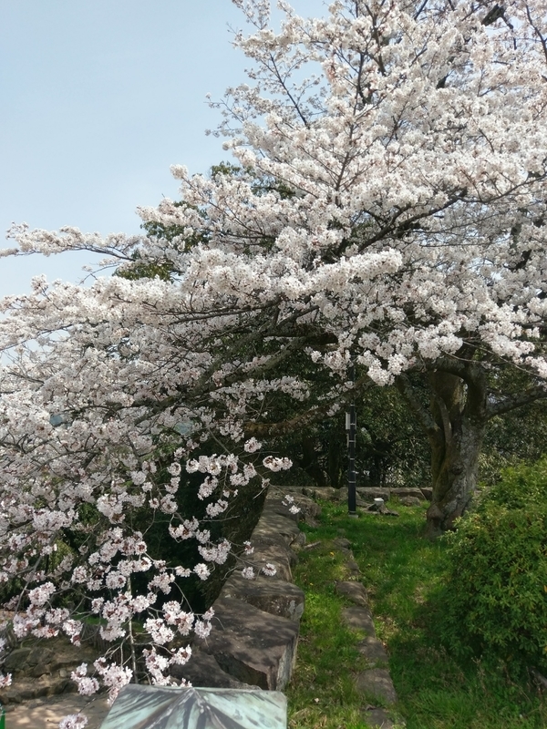 f:id:harapon:20180401115608j:plain