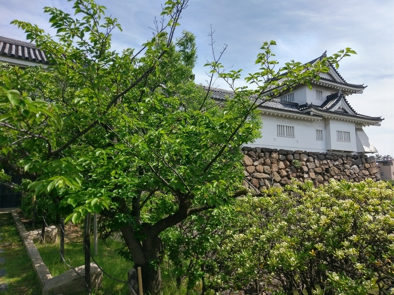 f:id:harapon:20180512140507j:plain