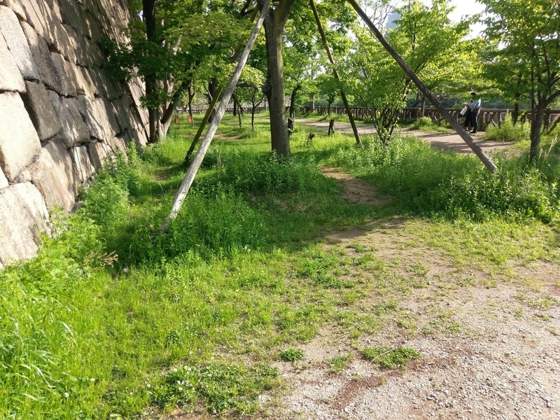 f:id:harapon:20180514162322j:plain
